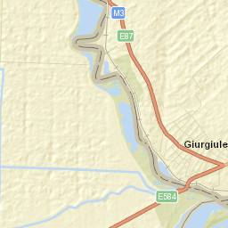 Giurgiuleşti Street Map
