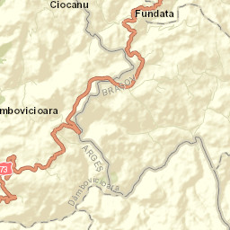 Dâmbovicioara Street Map