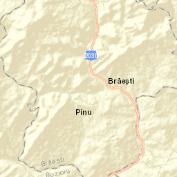 Comuna Brăeşti Street Map