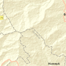 Băbeni Street Map