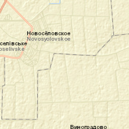 Novoselovskoye Street Map