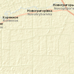 Novogrigoryevka Street Map