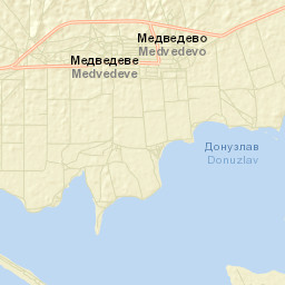 Medvedevo Street Map