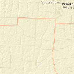 Vinogradovo Street Map