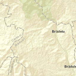 Brăduleţ Street Map