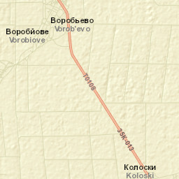 Vorobyovo Street Map