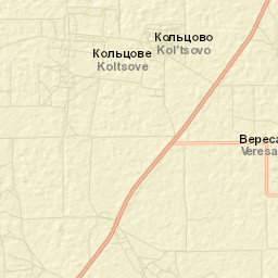 Kol’tsovo Street Map