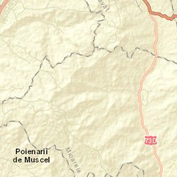 Poienari Street Map