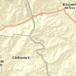 Cărbuneşti Street Map