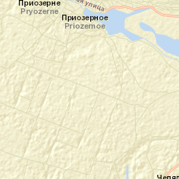 Priozyornoye Street Map