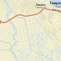 Temryuk Street Map