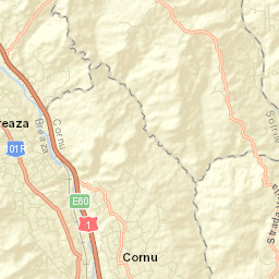 Cornu de Sus Street Map