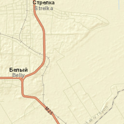 Strelka Street Map