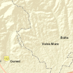 Bâlta Street Map