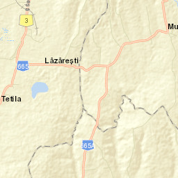 Muşeteşti Street Map