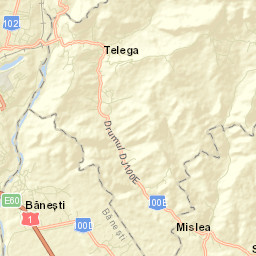 Băneşti Street Map