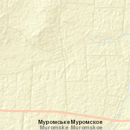 Muromskoye Street Map