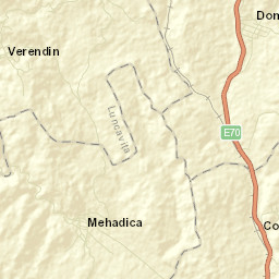Domaşnea Street Map