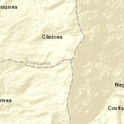 Comuna Domaşnea Street Map