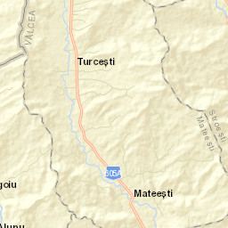 Turcești Street Map