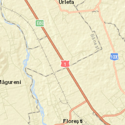 Floreşti Street Map