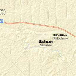 Shkol’noye Street Map