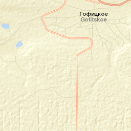 Gofitskoye Street Map