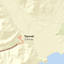 Terney Street Map