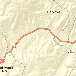 Lăpuşnicel Street Map
