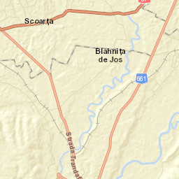 Oraş Târgu Cãrbuneşti Street Map