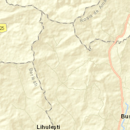 Comuna Bustuchin Street Map