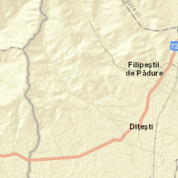 Dițești Street Map