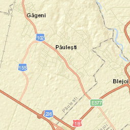 Păuleşti Street Map