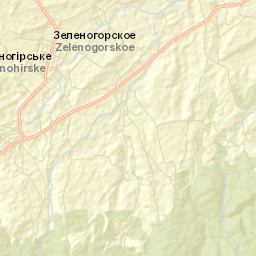 Zelenogorskoye Street Map