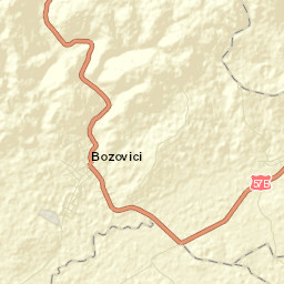 Bozovici Street Map