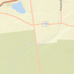 Forest New York Street Map