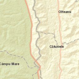 Cătunele Street Map