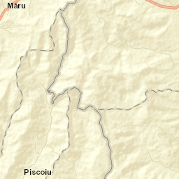 Piscoiu Street Map