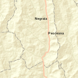 Pesceana Street Map