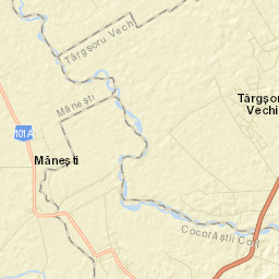 Târgşoru Vechi Street Map