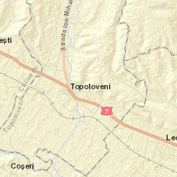 Topoloveni Street Map