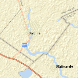 Sălciile Street Map