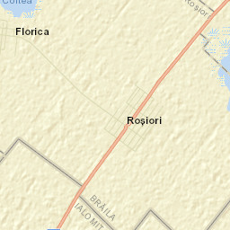 Roşiori Street Map