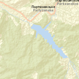 Partizanskoye Street Map