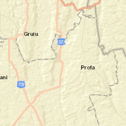 Alunișu Street Map