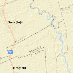 Broșteni Street Map