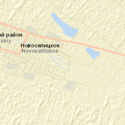 Novoselitskoye Street Map