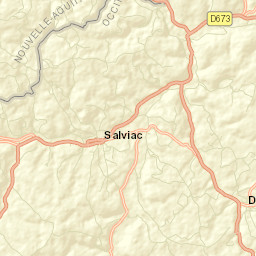 Salviac Street Map