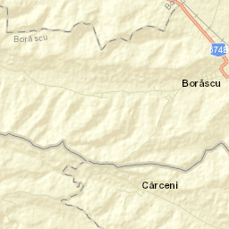 Borăscu Street Map