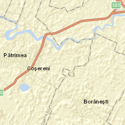 Borănești Street Map